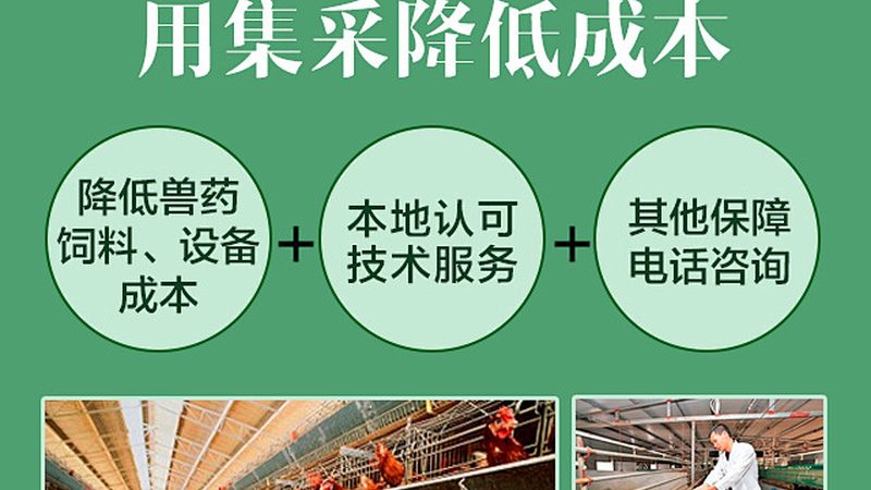 選擇合適的PCR核酸檢測(cè)公司，應(yīng)關(guān)注以下指標(biāo)：