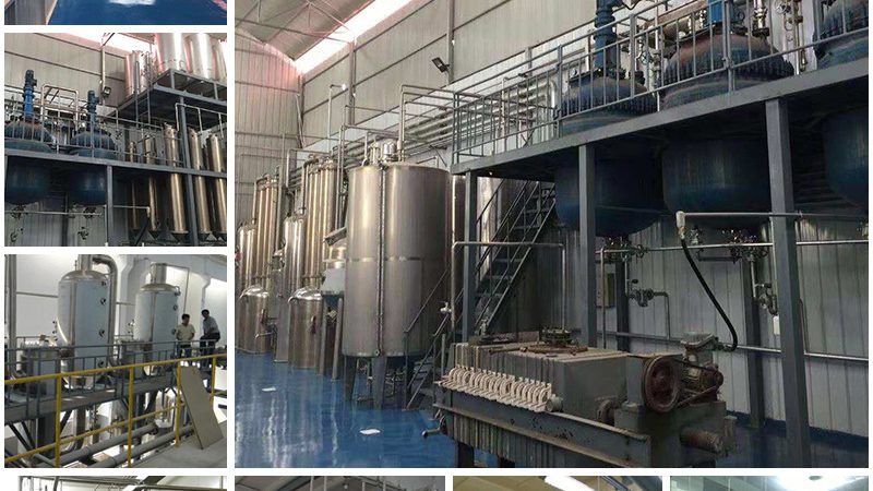 全基因組測序在孕婦檢測中的應用與價值
